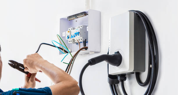 Best Electric Panel Repair  in Hornsby Bend, TX